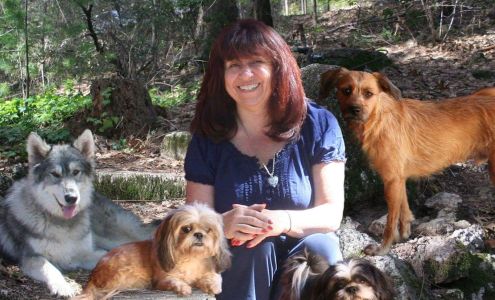 Paragon Dog Obedience Cobb