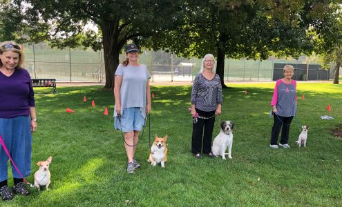 High Tail Dog Training