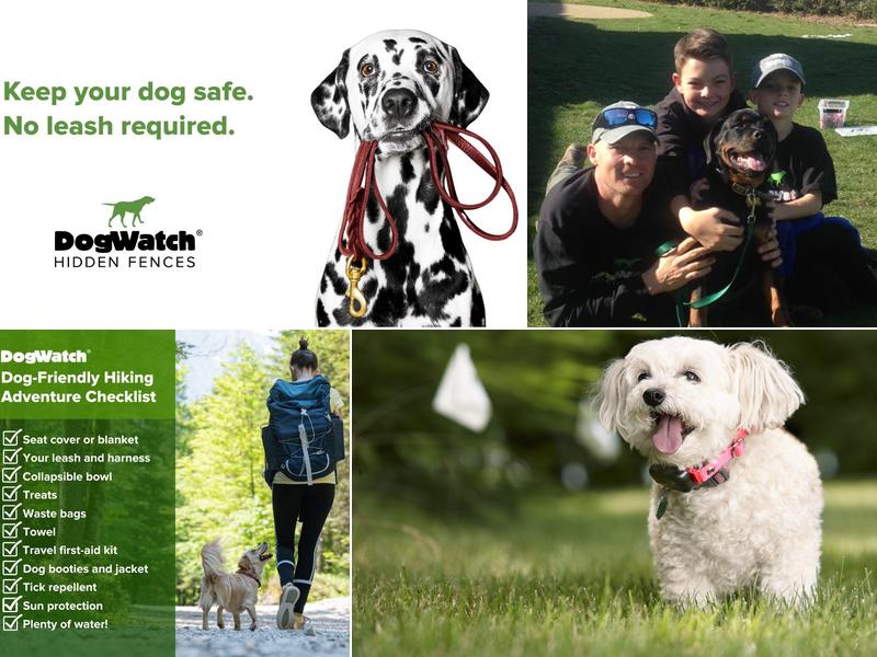 DogWatch of San Diego & Inland Empire