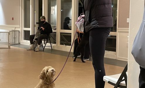 Perfect Puppy Academy