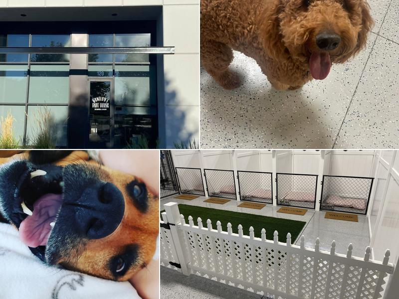 Bentley's Ruff House Pet Boarding and Daycare