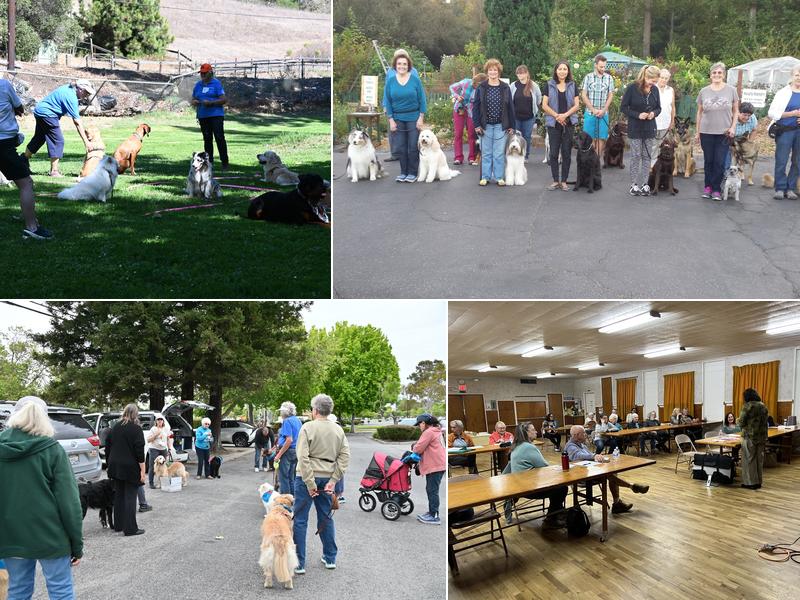 Monterey Bay Dog Training-Santa Cruz Training Classes