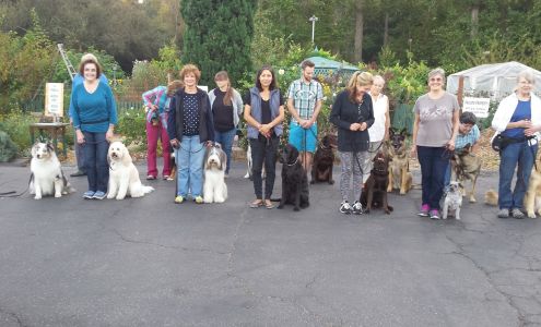 Monterey Bay Dog Training-Santa Cruz Training Classes