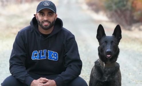 Cali K9 Los Angeles Dog Training
