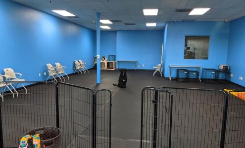 Tailored Dog Training