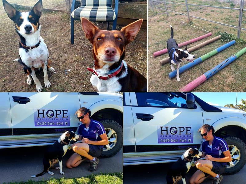 Hope for Dogs Canine Obedience Training