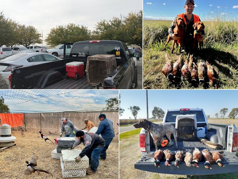 Hastings Island Hunting Preserve
