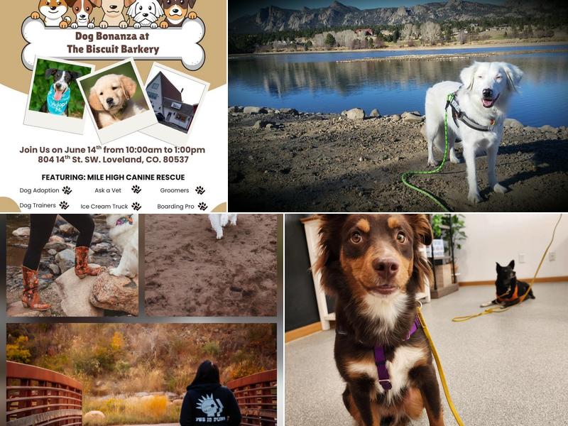 K9 Wisdom Training & Consulting, LLC.