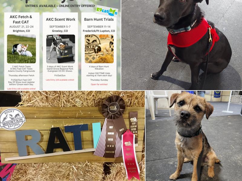 Matrix Dog - Training Center