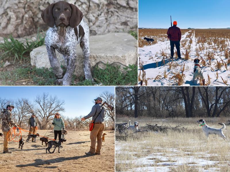 Valhalla Hunt Club & Kennels