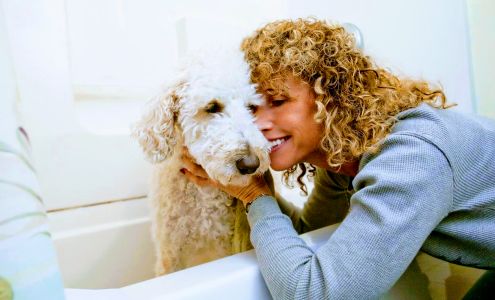 Wag A Tail Pawsitting