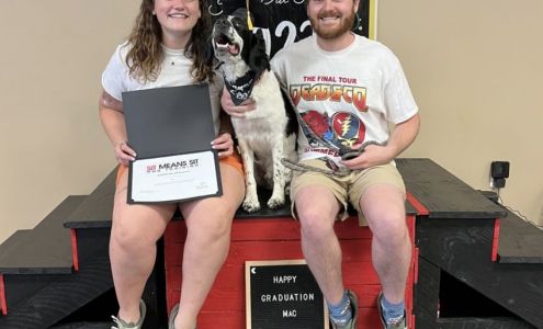 Sit Means Sit Dog Training Elkton-Delaware