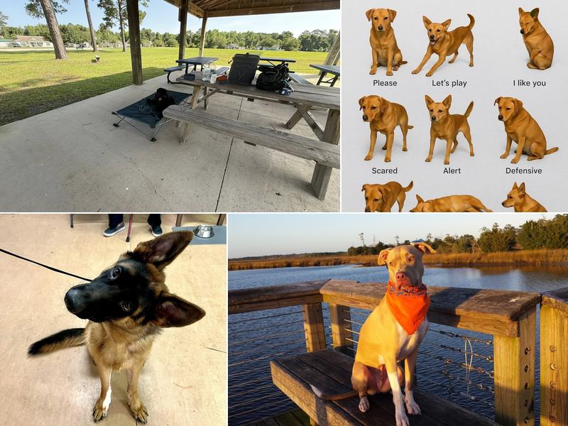 Off Leash K9 Training, LLC