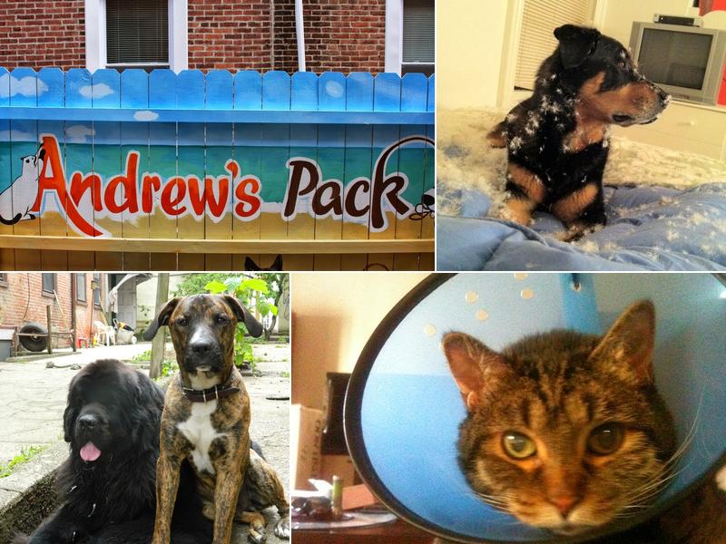 Andrew's Pack LLC