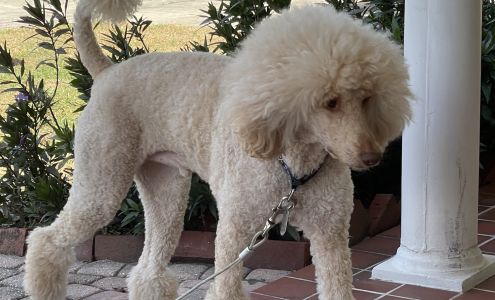 Dandyland Pet Care Center 2409 Ruthsburg Rd, Centreville Maryland 21617