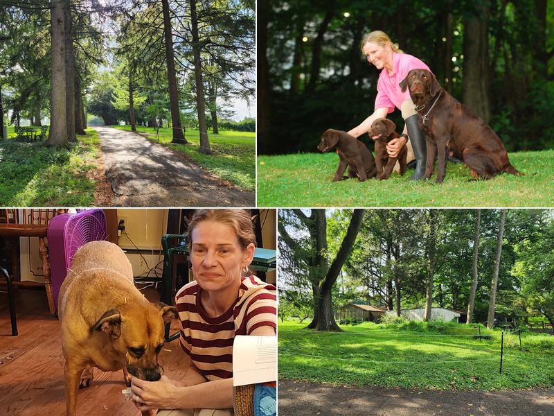 Dr. McKinstry's Holistic Veterinary Clinic