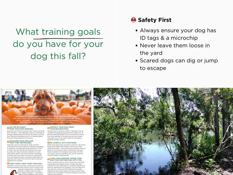 Bark Busters Home Dog Training