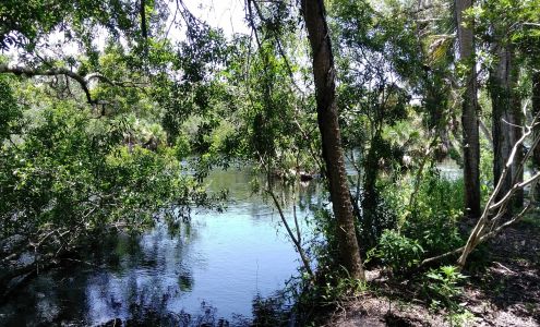 Bark Busters Home Dog Training