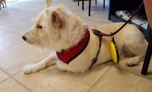 Gulfcoast Veterinary