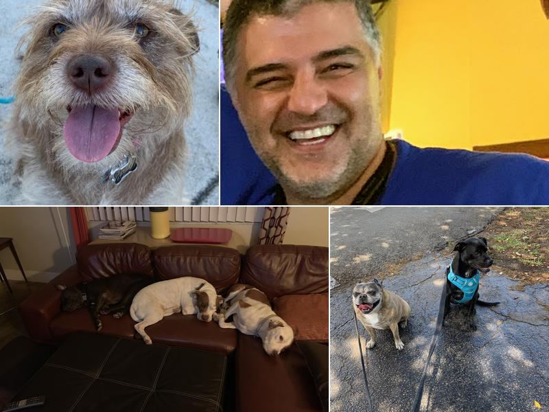 Reeve The Dog Walker