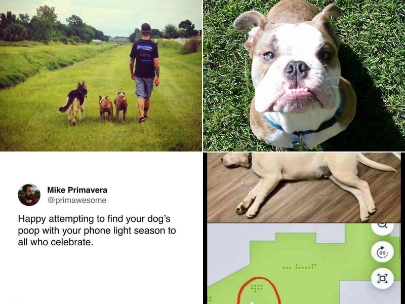 Off Leash K9 Training Central Florida