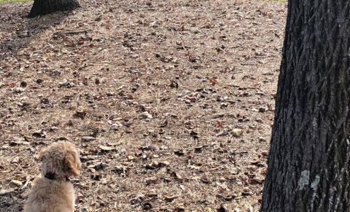 Pet Containment Systems Inc. - Athens GA