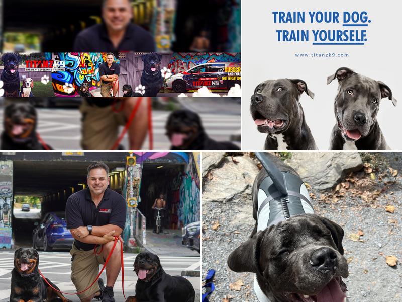 Titanz K9