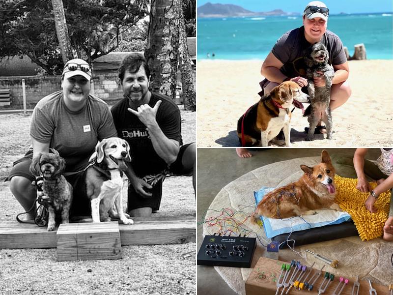 KAI Animal Institute