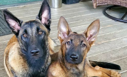 Pawsitive Difference, LLC