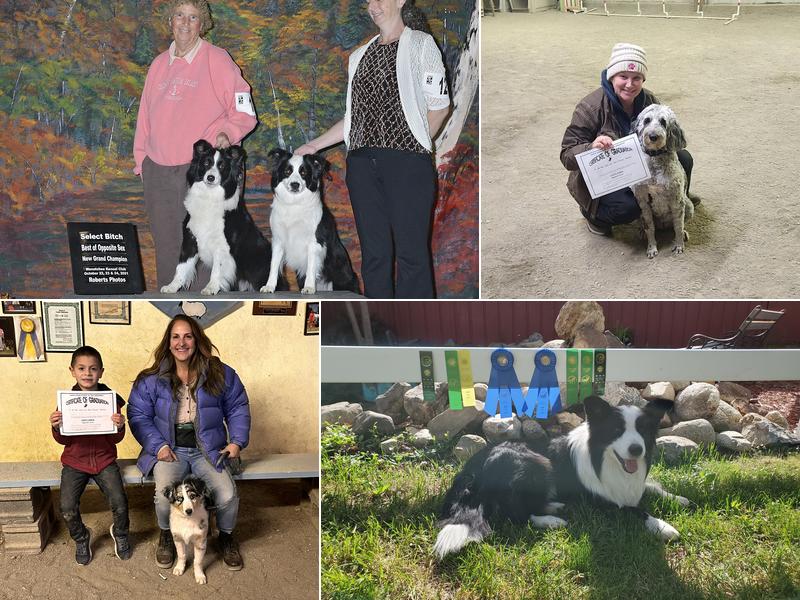 North Idaho School of Dog obedience