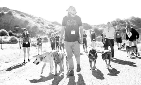 BA Professional K9 Training 22403 County Line Rd, South Beloit Illinois 61080