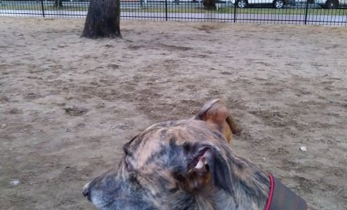 Lilac City Dog Training Club