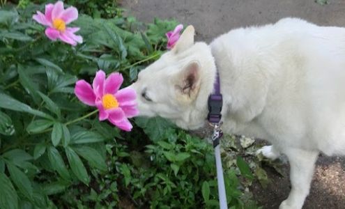 J&M Critter Care Weldon