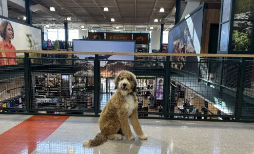 Nebraska Dog Trainers