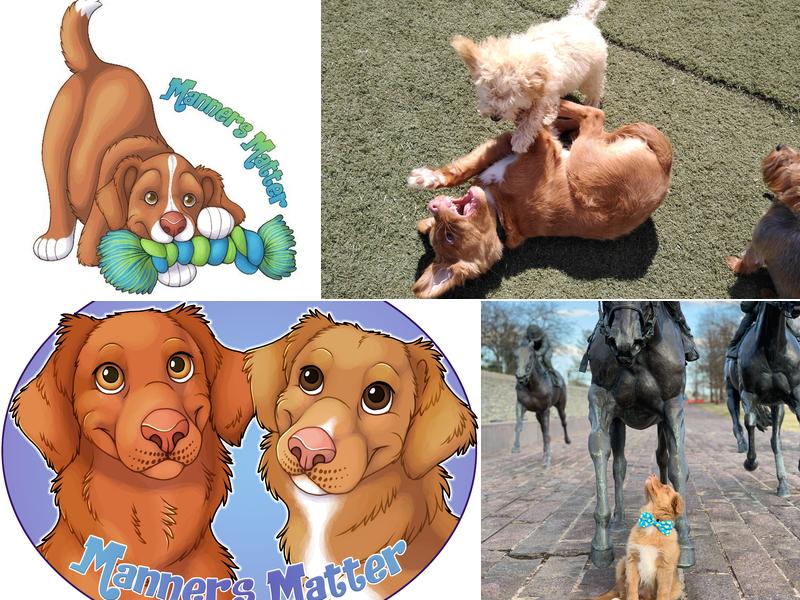 Manners Matter Dog Training and Daycare, LLC