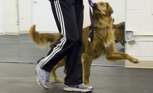 Rosetree Dog Training LLC