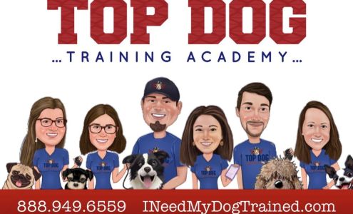 TOP DOG TRAINING ACADEMY