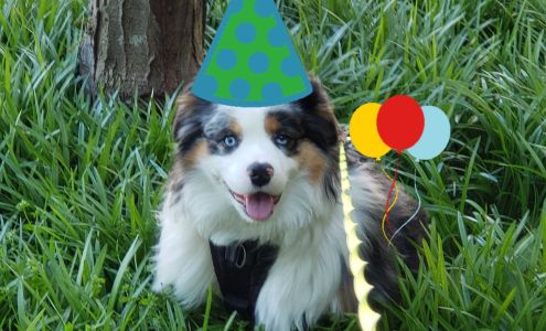 Humane Domain Marriottsville