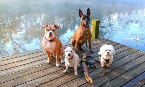 DogOn Fitness - Reston