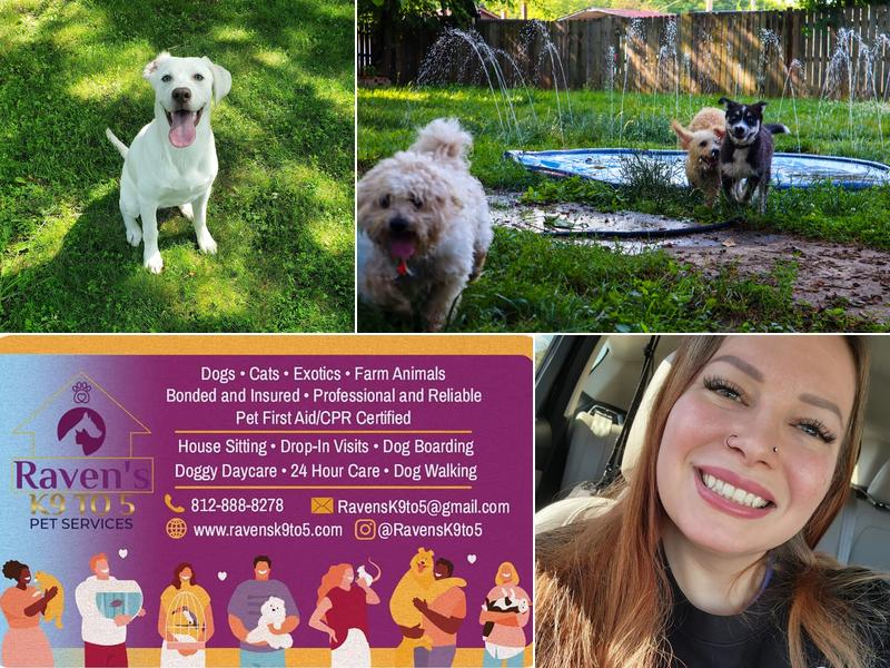 Raven's K9 to 5 Pet Services
