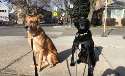 Four Legged Fit Club, LLC