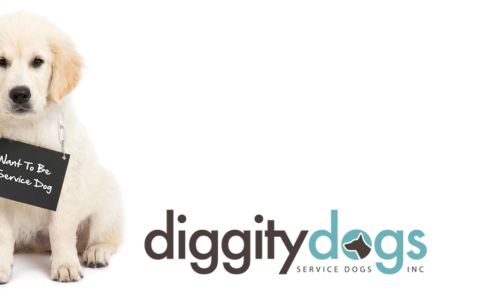Diggity Dogs Service Dogs Inc.
