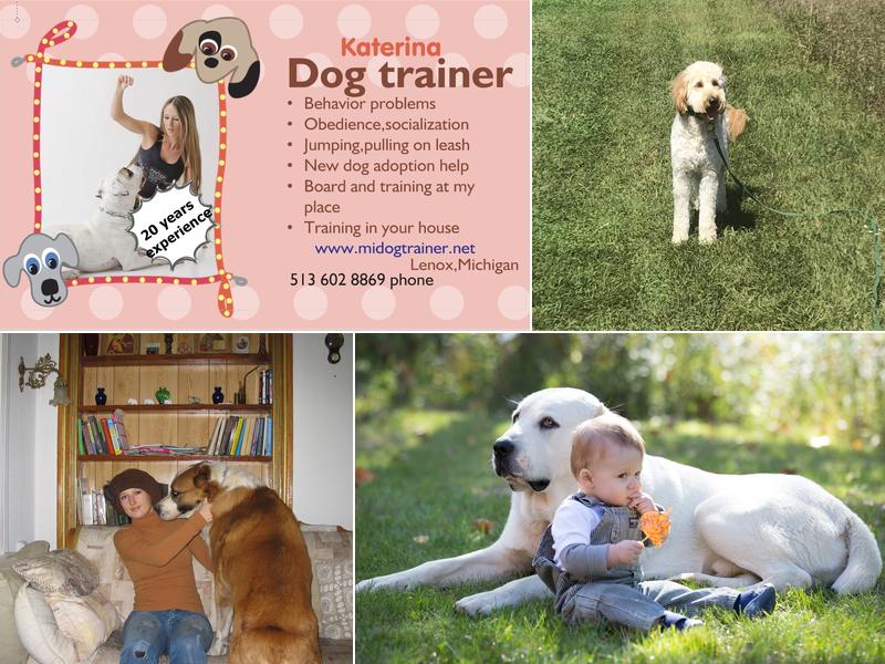 Certified Michigan Dog Trainer