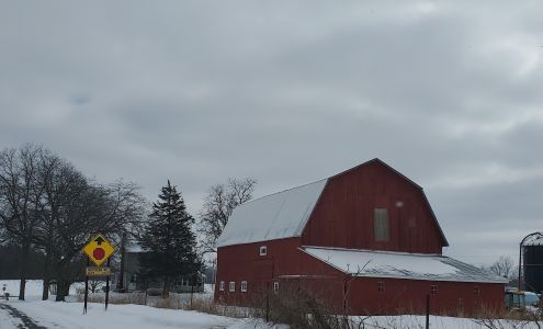 Diamonds In-The-Ruff Dog Training 475 Vaughn Rd, Leslie Michigan 49251