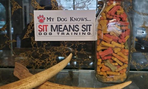 Sit Means Sit SE Michigan