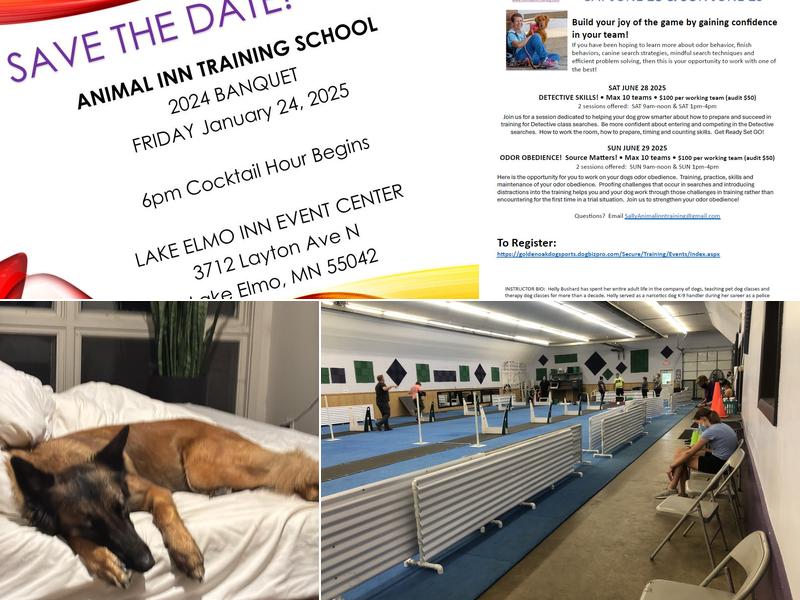 Animal Inn Training School