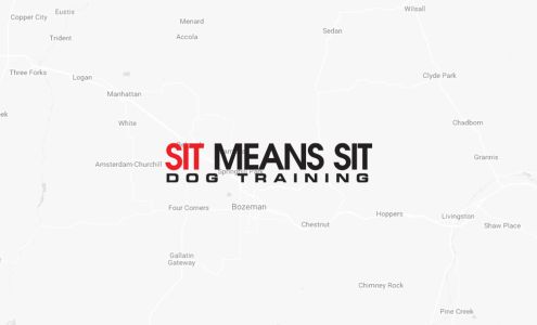 Sit Means Sit Dog Training - Bozeman