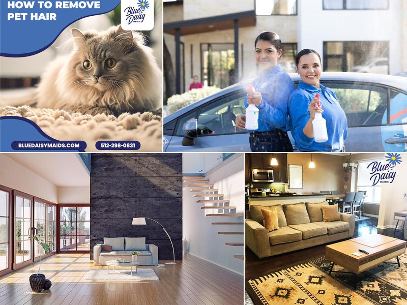 Blue Daisy Maids and Cleaning Service of Austin