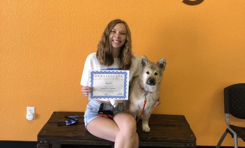 Positive Changes Dog Training