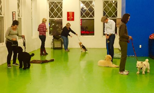 Amanda Gagnon Dog Training